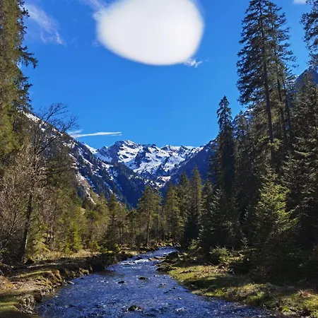 Of Heart * シュラートミンク