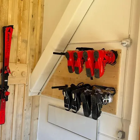 Of Heart シュラートミンク